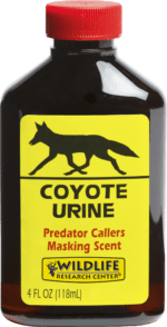 Coyote Urine