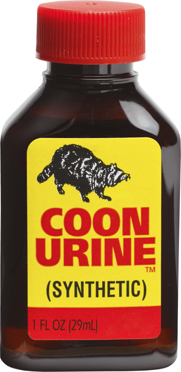 Coon Urine